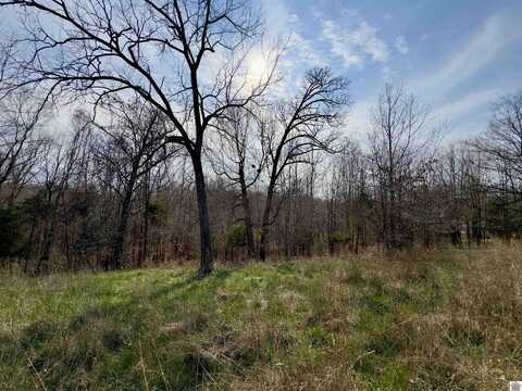 00 Sun Hill Cir, Lot 27, Cadiz, KY 42211