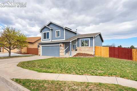 Daylilly, COLORADO SPRINGS, CO 80916