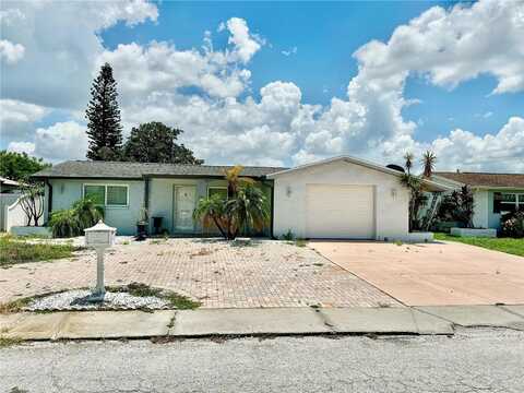 Domino, HOLIDAY, FL 34691