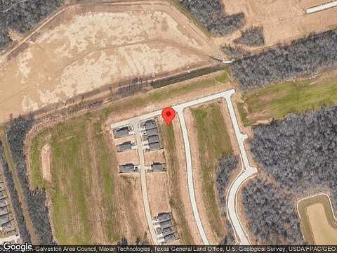 Scarlet Yaupon, CONROE, TX 77301