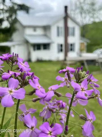 Camp Lavigne, BENTON, PA 17814