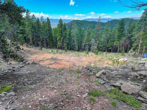 Bear Run, CONIFER, CO 80433