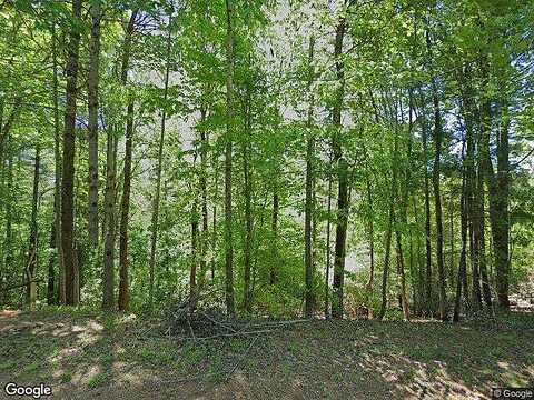 Forest Lake Heights, NEBO, NC 28761