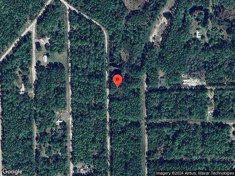 Forest, GEORGETOWN, FL 32139