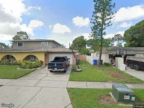 Savanah Palm, TAMPA, FL 33615