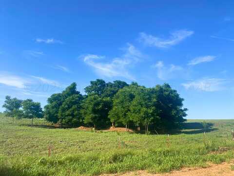 undefined, Camargo, OK 73835