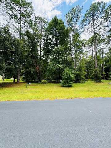 Lot 557 NE Wood Stork Drive, Townsend, GA 31331