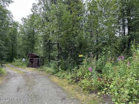 14702 E Love Lee Lane, Talkeetna, AK 99676