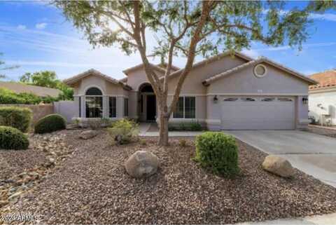 5120 S Camellia Drive, Chandler, AZ 85248