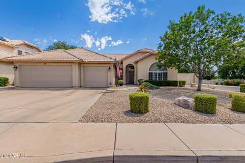 4223 W BART Drive, Chandler, AZ 85226