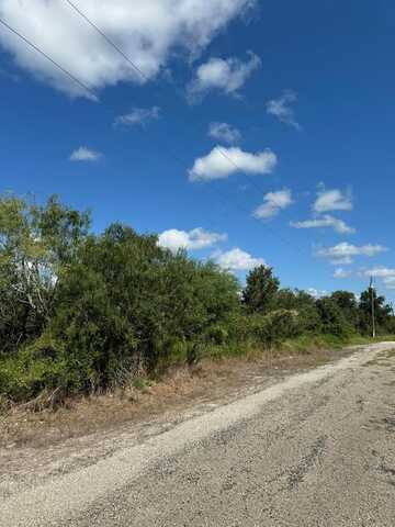 0 Corrigan Road 608, Skidmore, TX 78389