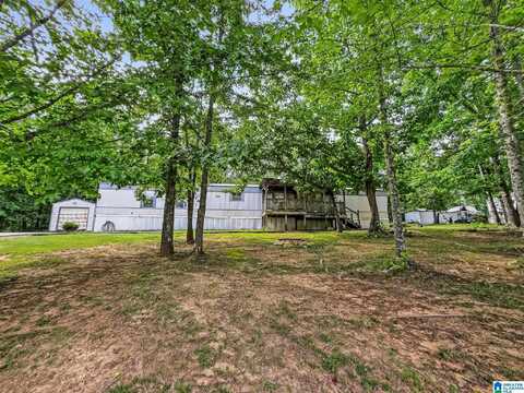 250 SMITH RIDGE WAY, ODENVILLE, AL 35120