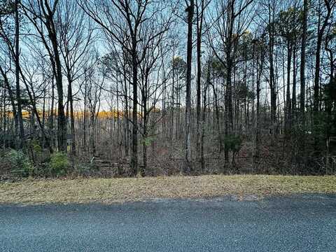 Lot 18 TURKEY TRAIL, FORTSON, GA 31808