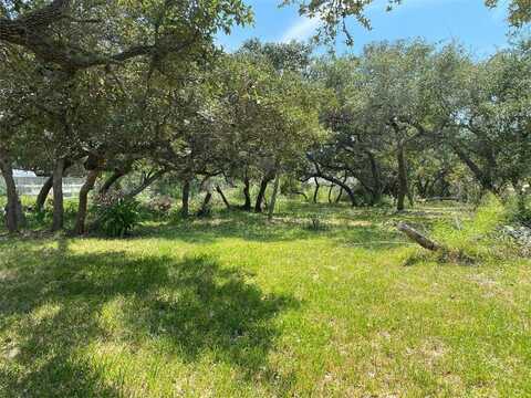 1919 Sherwood Forest, Aransas Pass, TX 78336