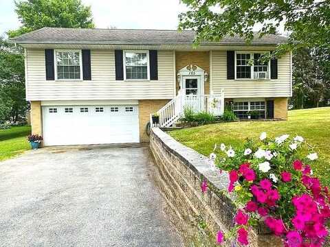 165 Hickory Drive, Salix, PA 15952