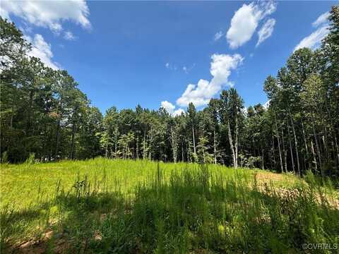 0 Rivers Road, Lawrenceville, VA 23868