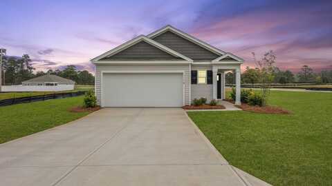 1040 Hardy Drive, Manning, SC 29102