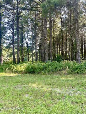 237 Winfall Circle, Edenton, NC 27932