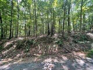 Lot 7 Chelmsworth CIR, Bella Vista, AR 72715