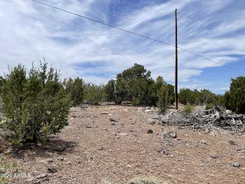 0 N N8166 and Stanford Dr - Lot C --, Vernon, AZ 85940