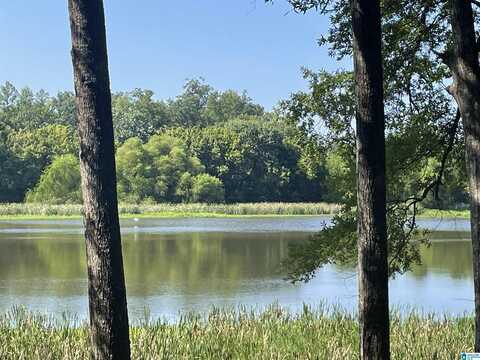 2985 PARADISE ACRES, HOOVER, AL 35244