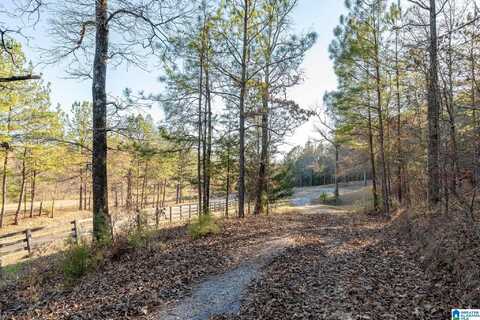 Lot 13/14 HERITAGE LAKE DRIVE, COLUMBIANA, AL 35051