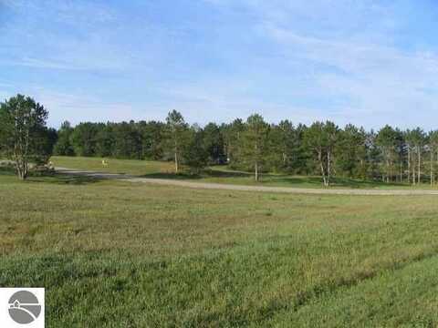 LOT 7 S MEADOW DRIVE LOT 7, CADILLAC, MI 49601