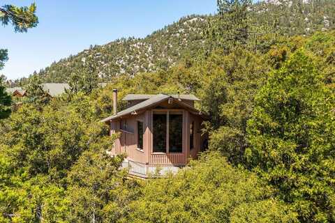 54950 Forest Haven Drive, Idyllwild, CA 92549