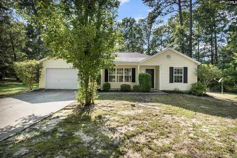 133 Smallwood Drive, Chapin, SC 29036