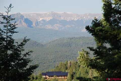 X Cold Springs Ct., Pagosa Springs, CO 81147