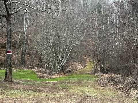 15 Silver Fir Road, Weaverville, NC 28787