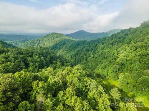 99999 Renfro Road, Green Mountain, NC 28740