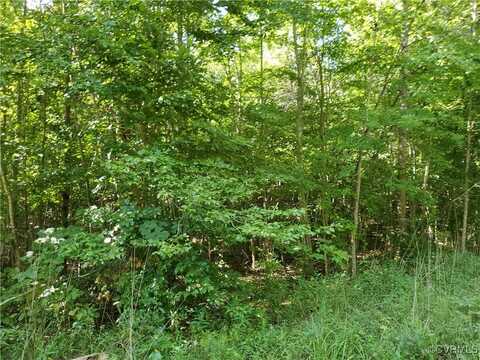 7.55 Acres Amelia Springs Road, Jetersville, VA 23083