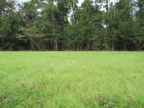 116 Barefoot Lane Lot 14, Eufaula, AL 36027