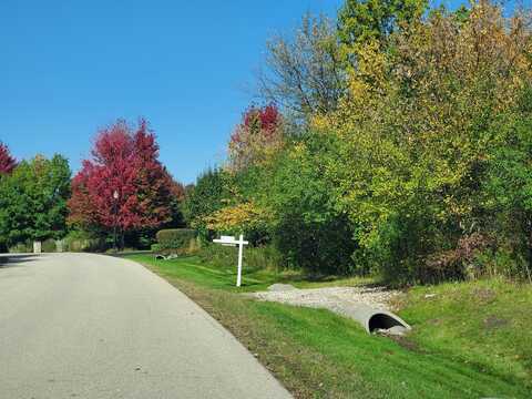 Lot 7 Orchard Bluff Lane, Wadsworth, IL 60083