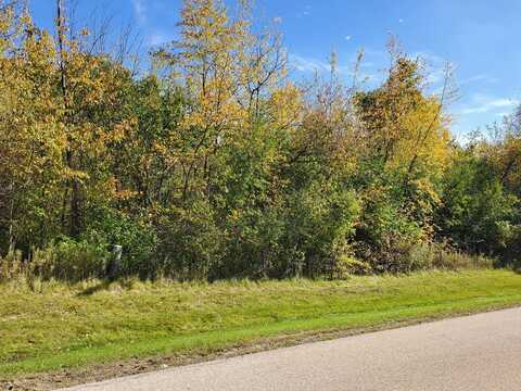 Lot 8 Orchard Bluff Lane, Wadsworth, IL 60083