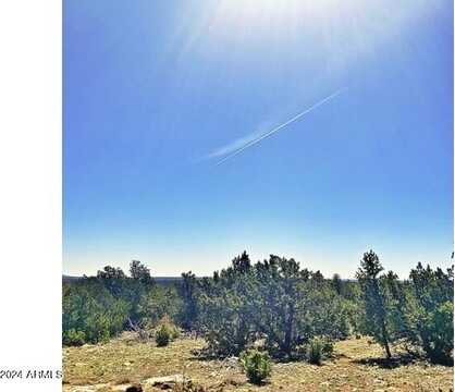 3877 Sunset Ridge Loop, Happy Jack, AZ 86024