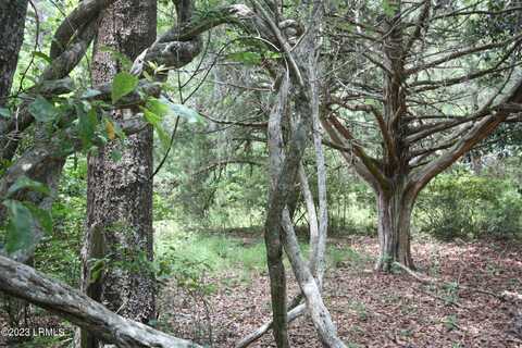 Tbd Westgate & Firehill Road, Walterboro, SC 29488
