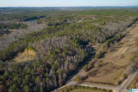 Lot 5 HERITAGE LAKE DRIVE, COLUMBIANA, AL 35051