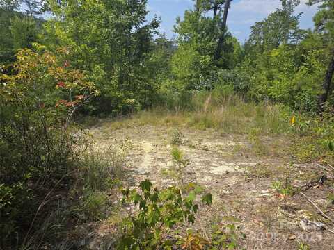 25 Round Mountain Road, Brevard, NC 28712