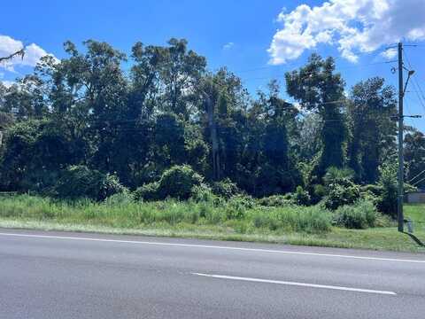 Hwy 19, Fanning Springs, FL 32693