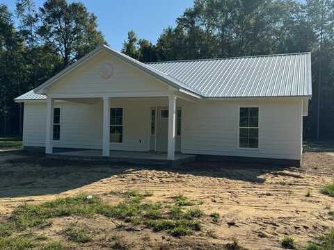 46 Starhead Lane, Vienna, GA 31092