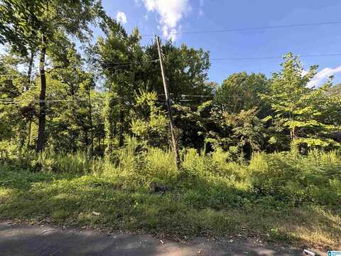 926 NAVARRO LANE, IRONDALE, AL 35235