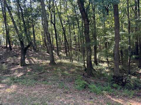 Lot 15 OVERSEE COURT, MIDLAND, GA 31820