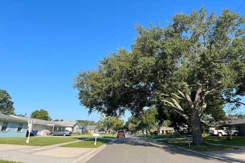 Julie, BRANDON, FL 33511