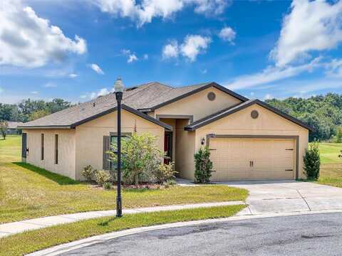 Marigold, BROOKSVILLE, FL 34602