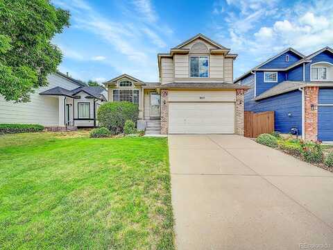 Lameria, HIGHLANDS RANCH, CO 80130