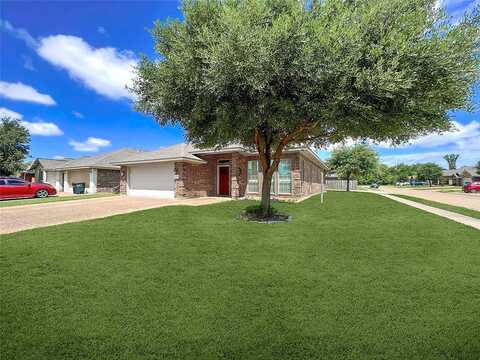 Emerald Dove, COLLEGE STATION, TX 77845