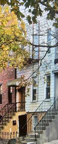 Schaefer, BROOKLYN, NY 11207