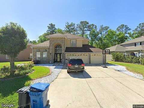 Yellow Jasmine, FLEMING ISLAND, FL 32003